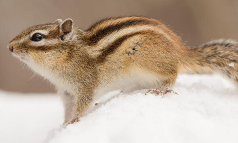 上海瑞科华阀业科技有限公司轮播图2