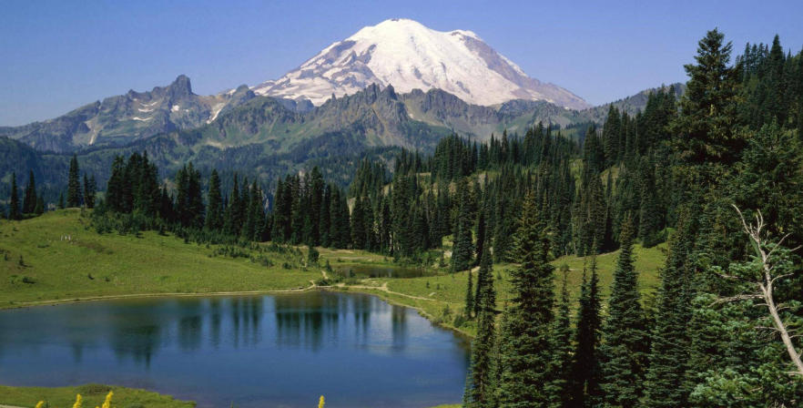 上海瑞科华阀业科技有限公司轮播图3